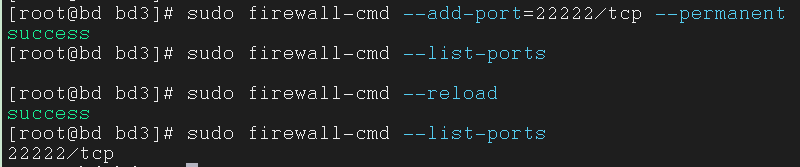 成功开放22222端口